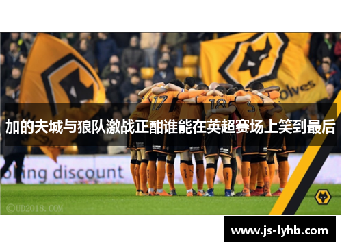 加的夫城与狼队激战正酣谁能在英超赛场上笑到最后