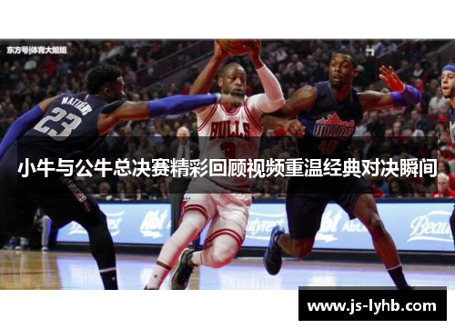 小牛与公牛总决赛精彩回顾视频重温经典对决瞬间